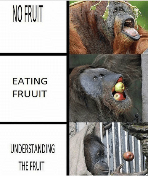 Fruit - meme