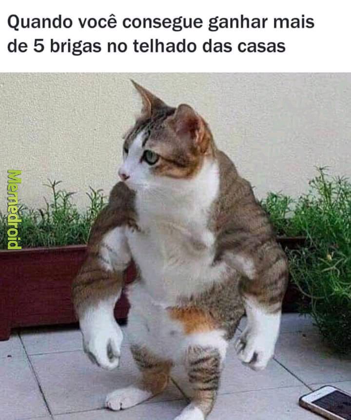 Blindao memes. Best Collection of funny Blindao pictures on iFunny Brazil