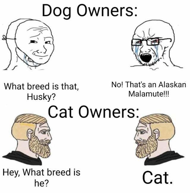 Dog owners vs cat owners - meme