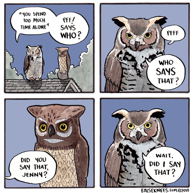 Owls - meme