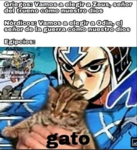 gato - meme