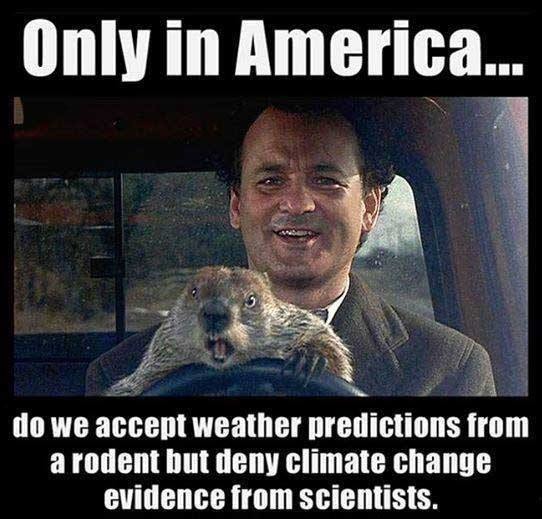 Groundhog Day meme just the day before, tomorrow again