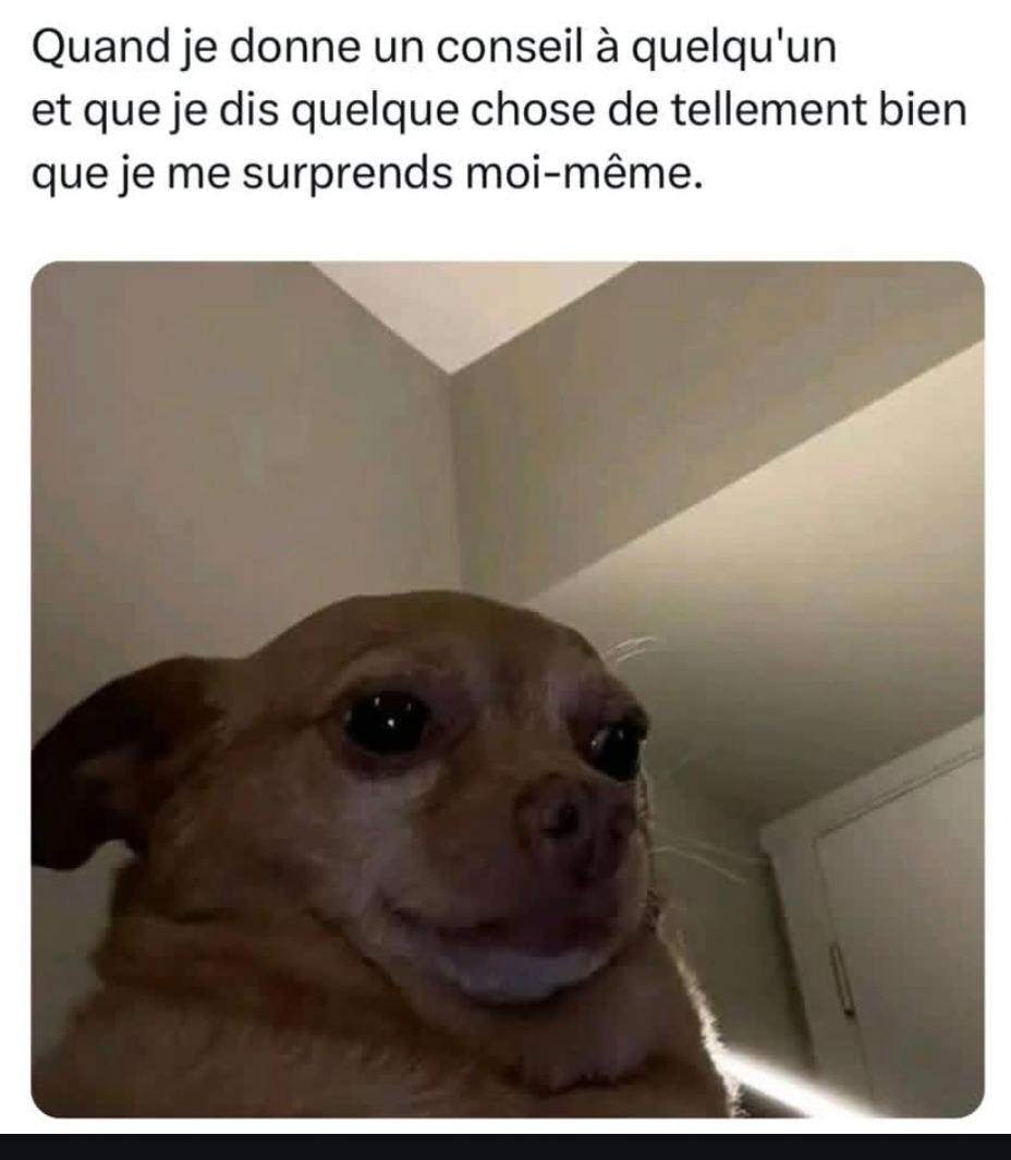 Quand tu balances un conseil si bon que t’as envie de l’écrire dans un livre - meme