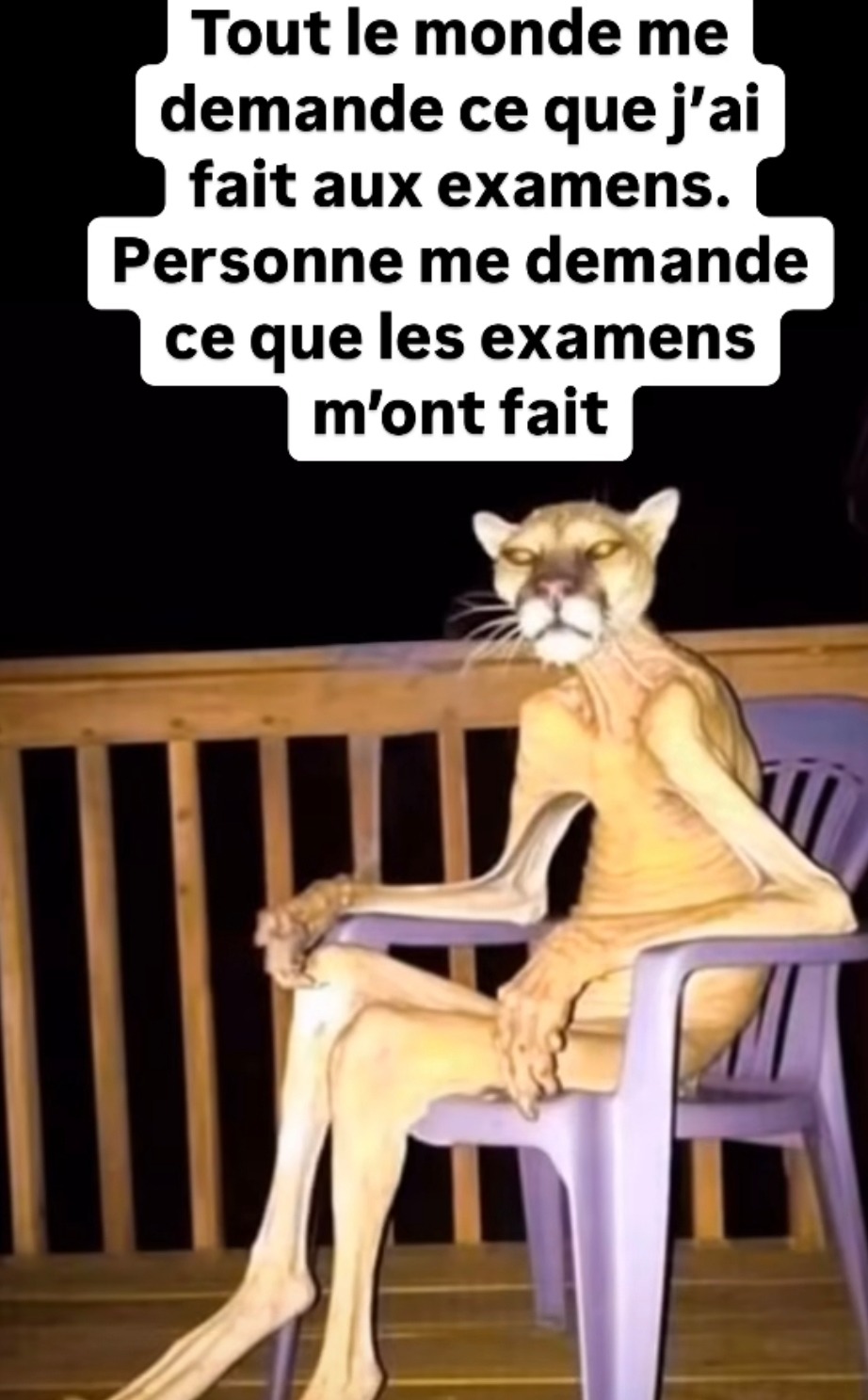 Les exams m’ont détruit, mais personne demande comment je vais - meme
