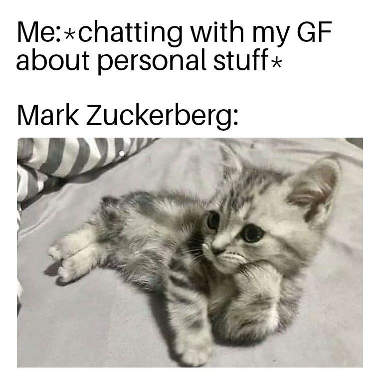 Mark Zuckerberg - meme