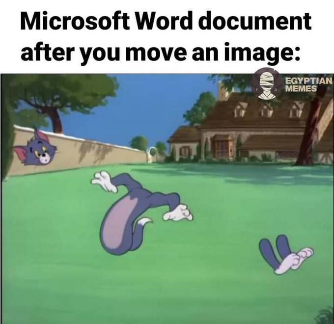 dongs in a document - meme