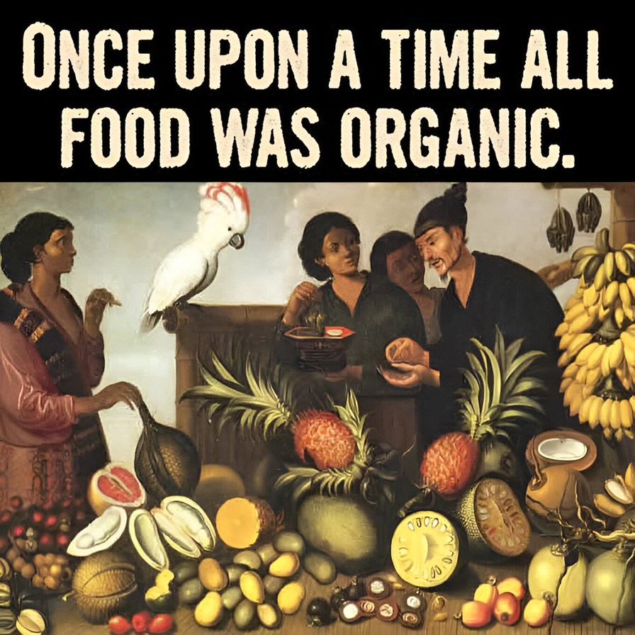 Not long time ago all food was organic - meme