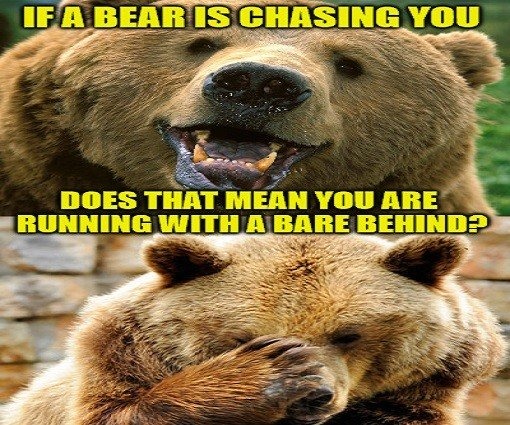 How about a Comedian Bear ? - meme