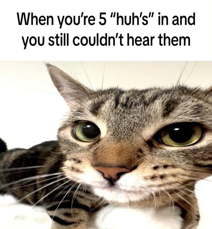 Huh? - meme