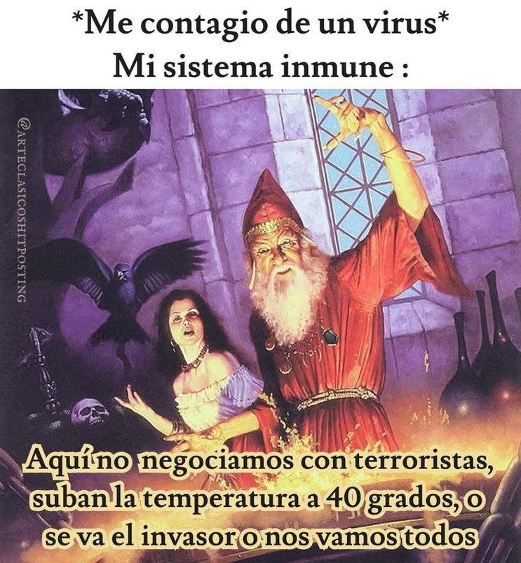 Mi sistema inmune cuando pilla un virus modo terrorista - meme