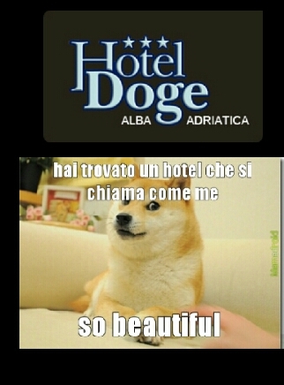 hotel doge - meme