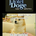 hotel doge