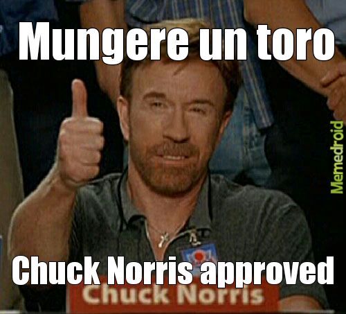 Chuck norris approved - meme