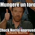 Chuck norris approved
