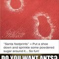 That shits how you get ants