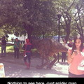 Spiderman and his pet