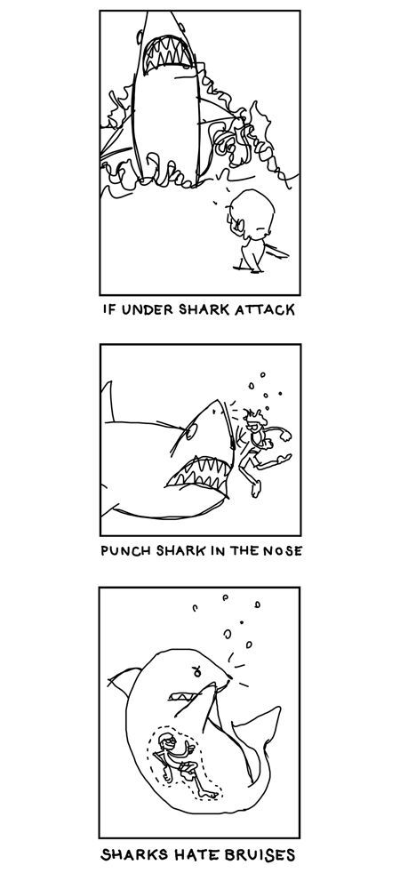 how to tackle a shark attack - meme