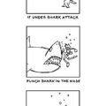 how to tackle a shark attack