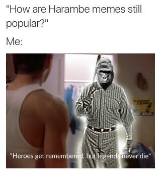 Never forget harambe/11 - meme