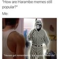 Never forget harambe/11