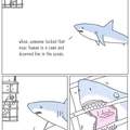 Sharks arent mean