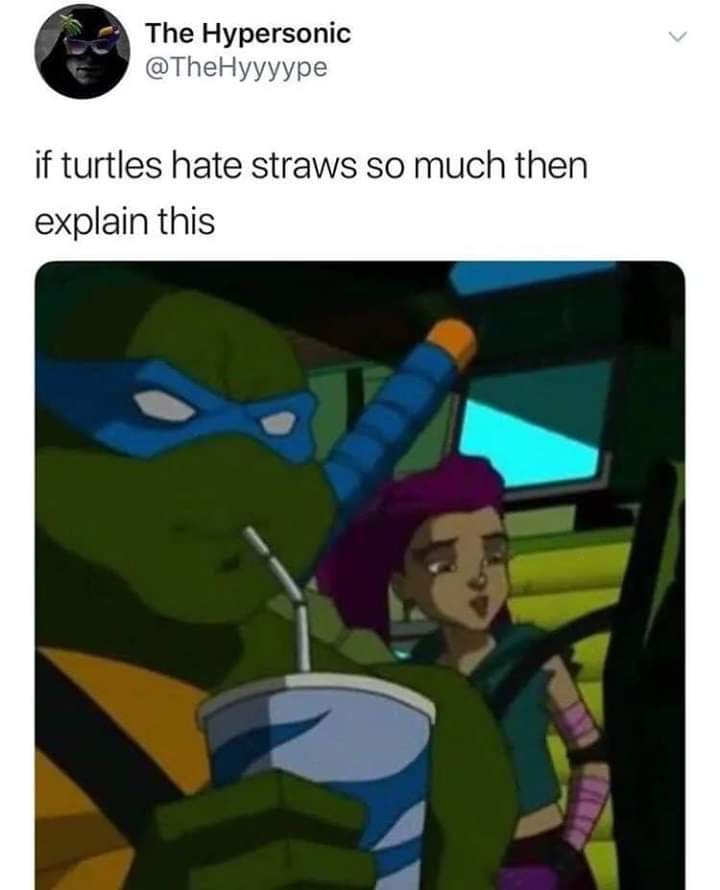 "se tartarugas odeiam tanto canudos explique isso então" - meme