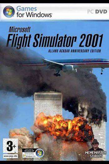 Microsoft flight simulator 2001 - meme
