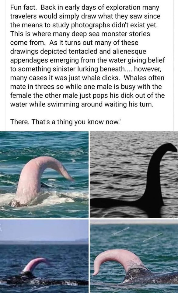 Apparently, Loch Ness is a dick - meme