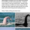 Apparently, Loch Ness is a dick