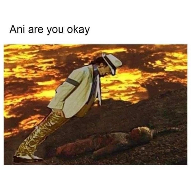 are you okay ani - meme