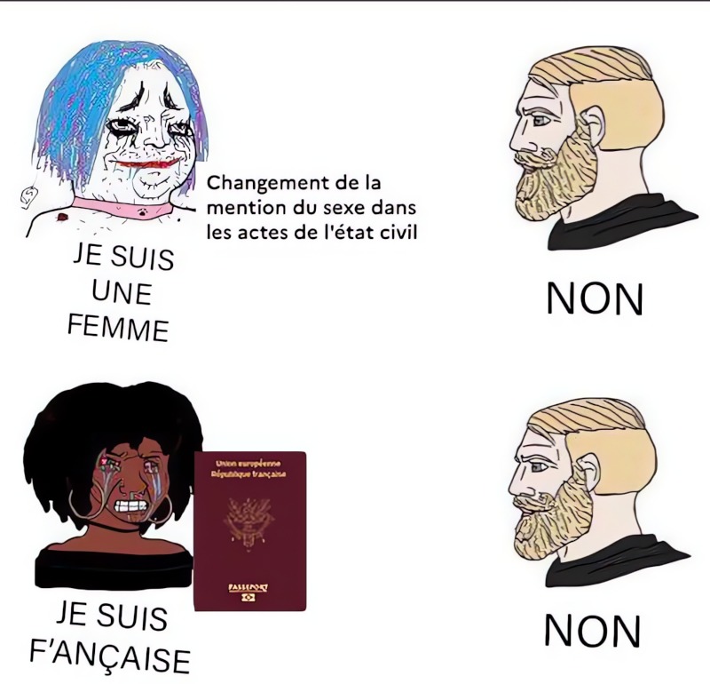 C'est dans le sang - meme