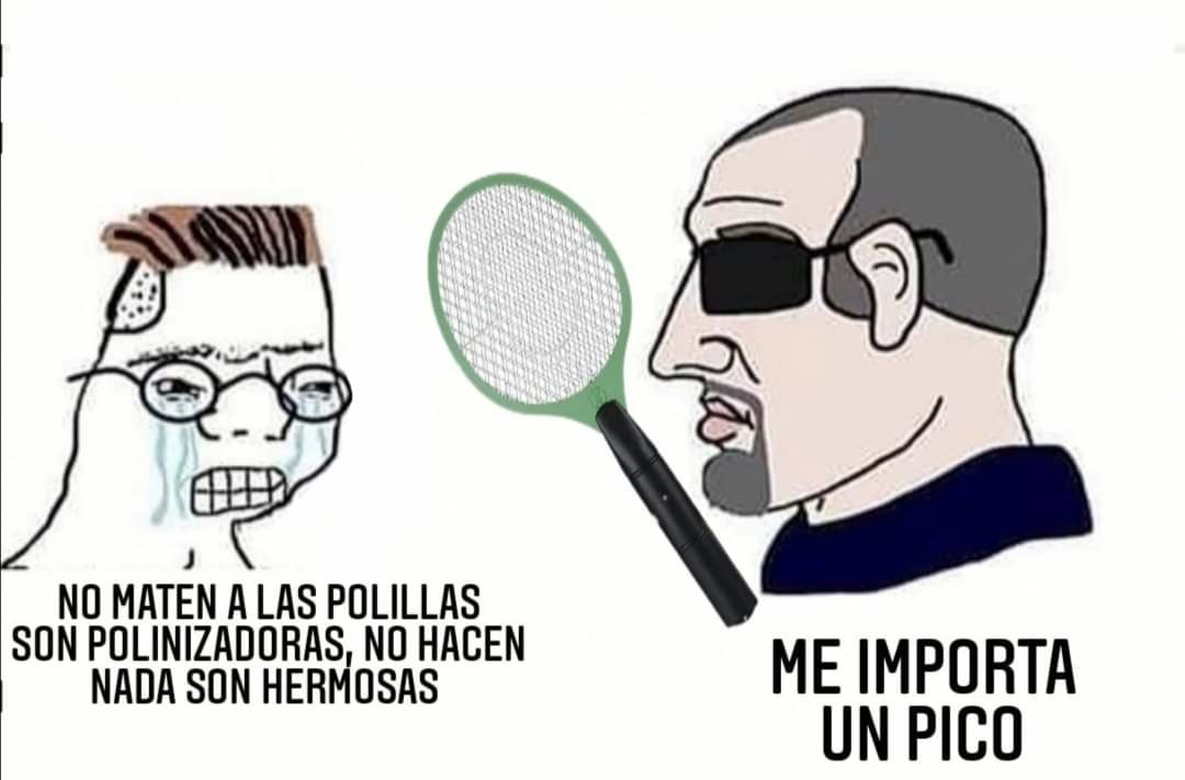 Polillas culiás :son: - meme
