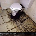 Cursed toilets pt2