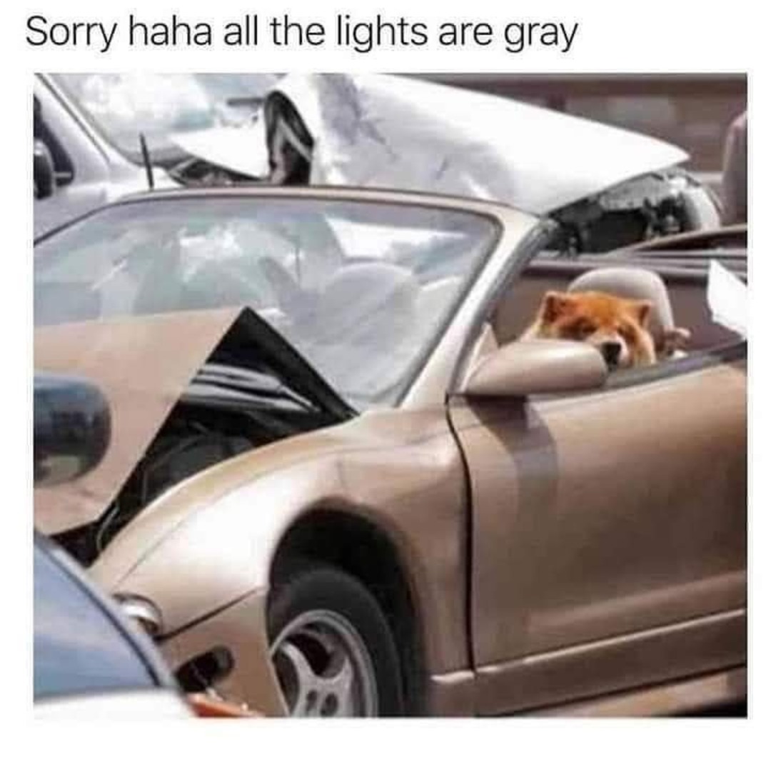 I'm sorry, Mr Chonkers Smith, but you need to give up your license. - meme