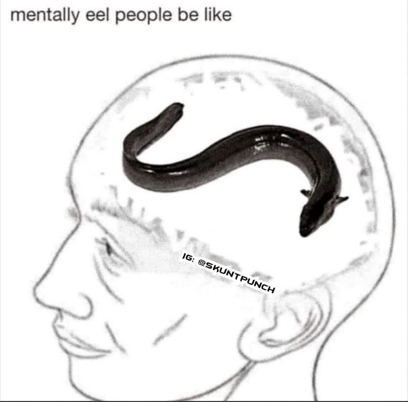 Mentally eel - meme