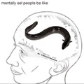Mentally eel