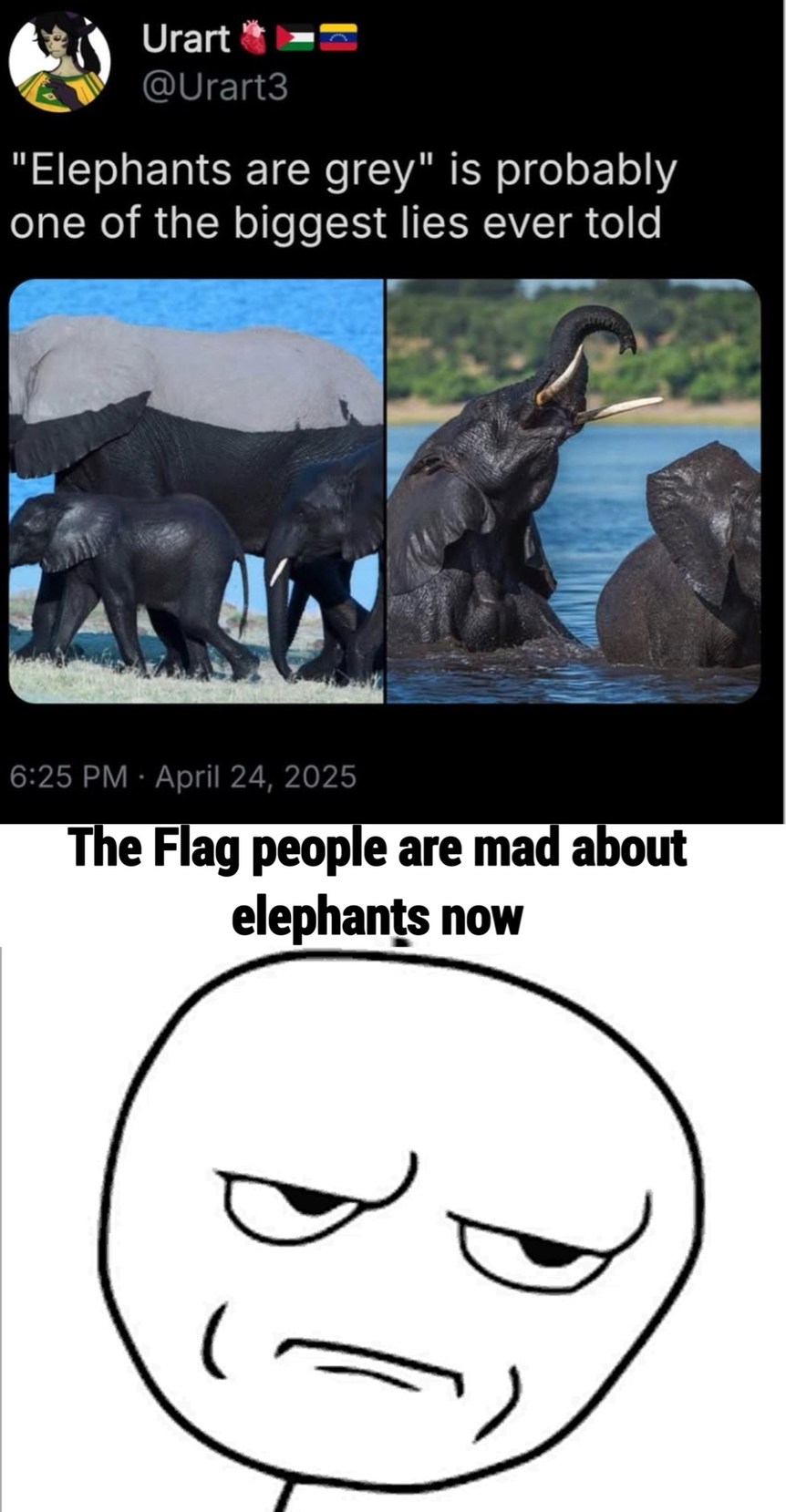 if you think elephant ain’t black your racist now T_T - meme