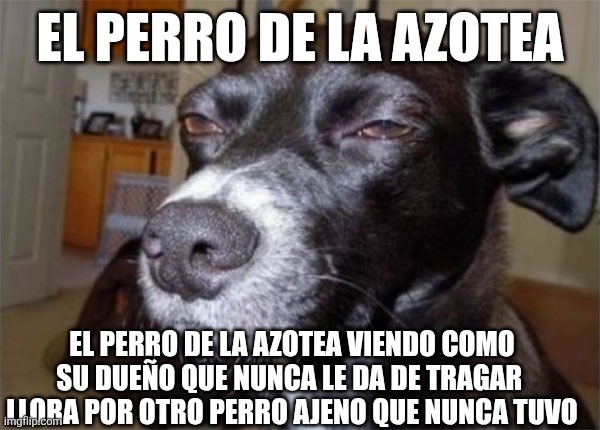 Lore de : la muerte de Curly - meme