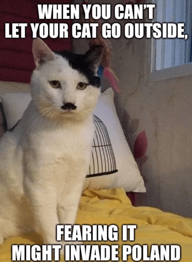 Can't let him out, he might start WW2 again - meme