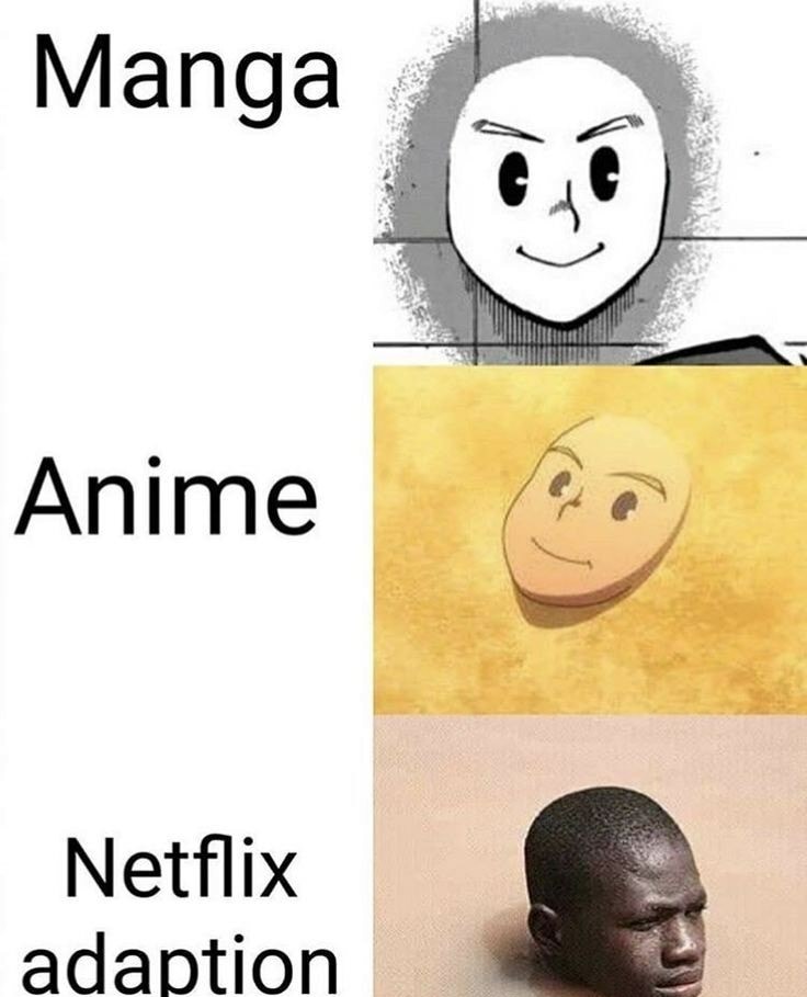 Netflix adaptation1 - meme