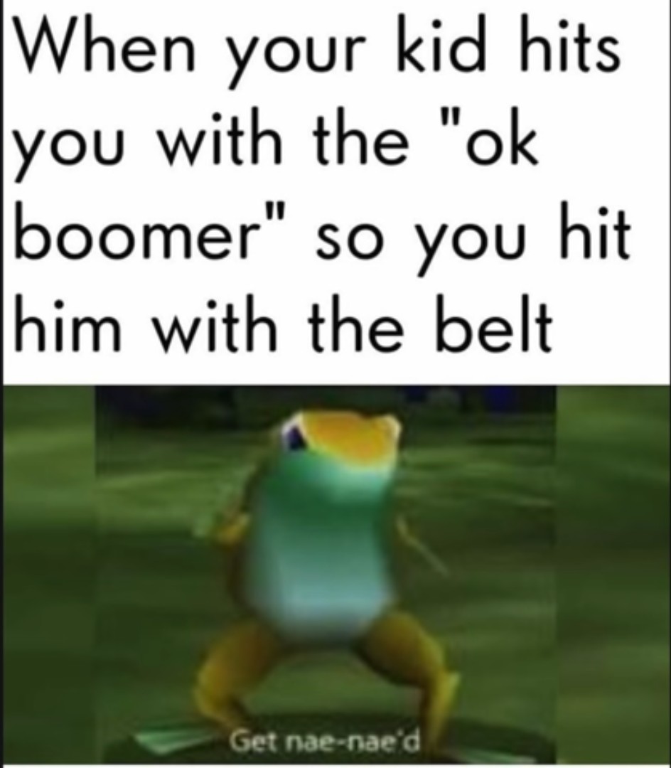 Ok Boomer - meme