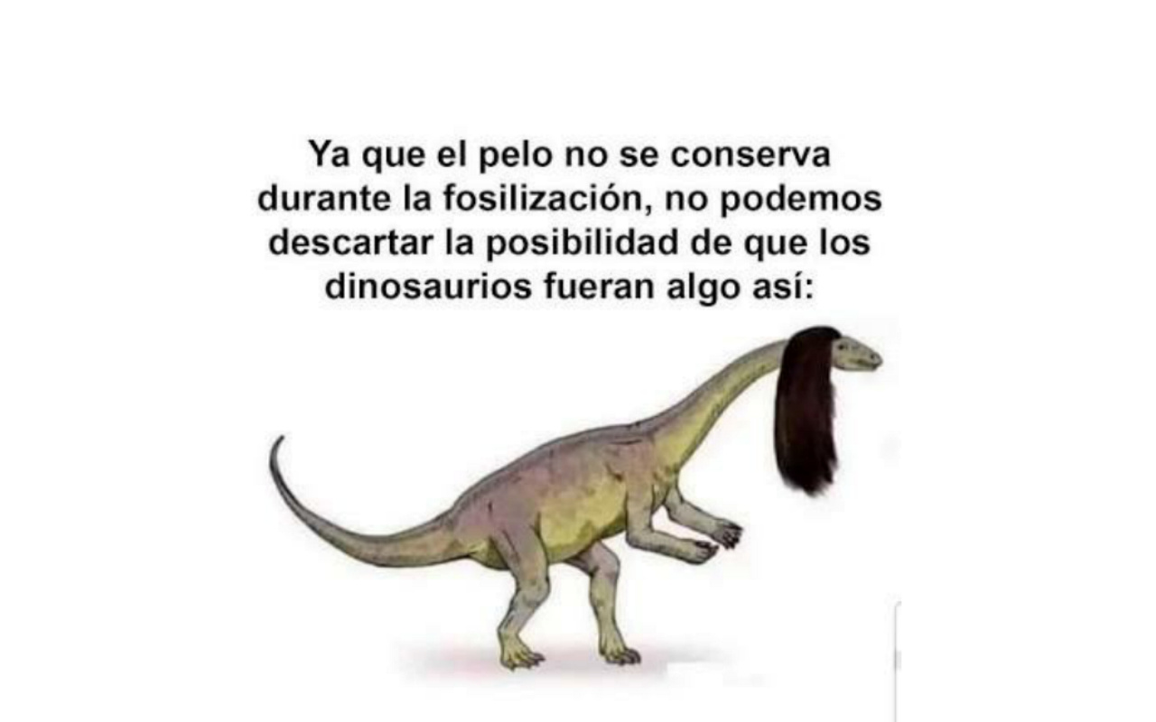 Dino80nteros - meme