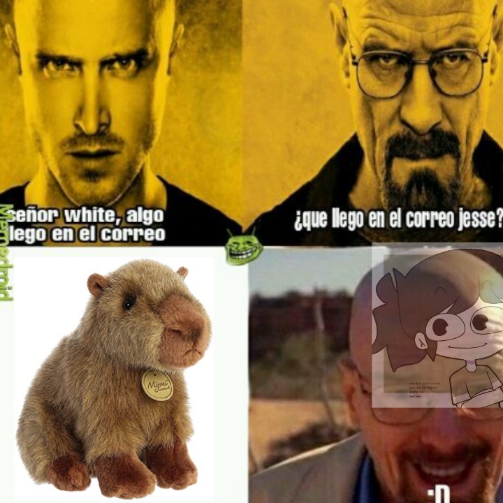 capibara - meme