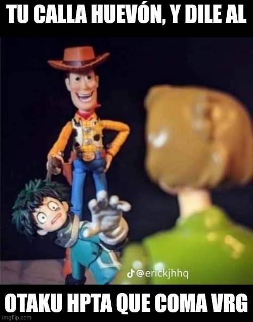 Woody haciendo labor social por el bien de la humanidad, un chuchas carajo :fuckyeah: :allthethings: :gtfo: - meme
