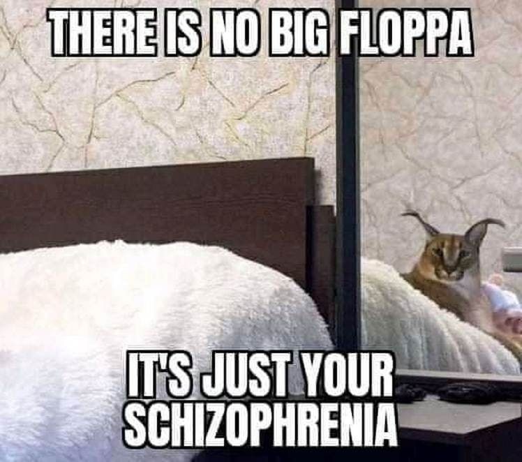 Floppa - Meme by Crisorrex :) Memedroid