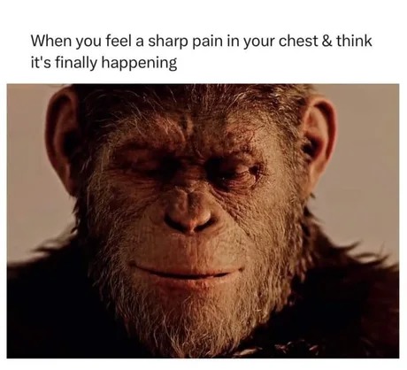Sharp pain in you chest, finally - meme