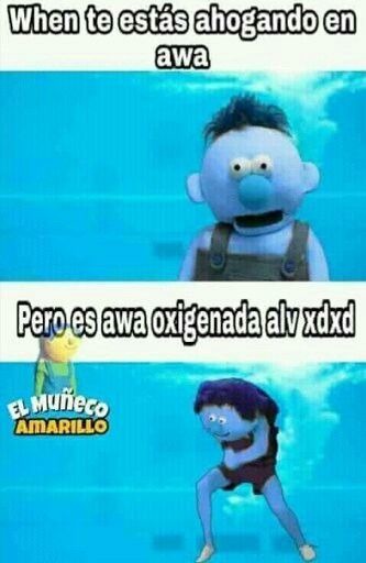 sis - meme