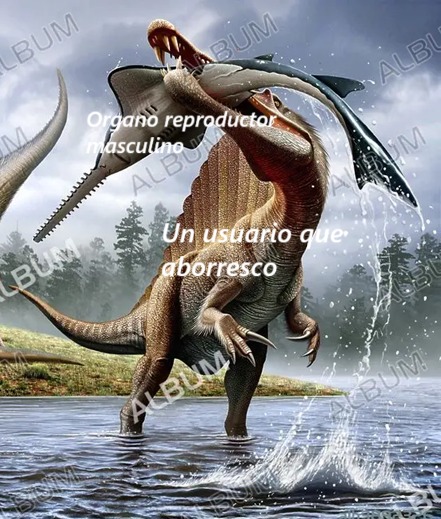 momazo - meme