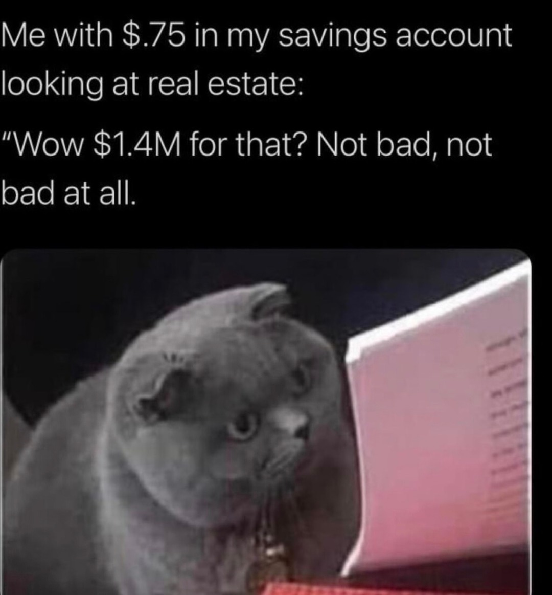 Me with $0.75 thinking I could totally afford a $1.4M shack - meme