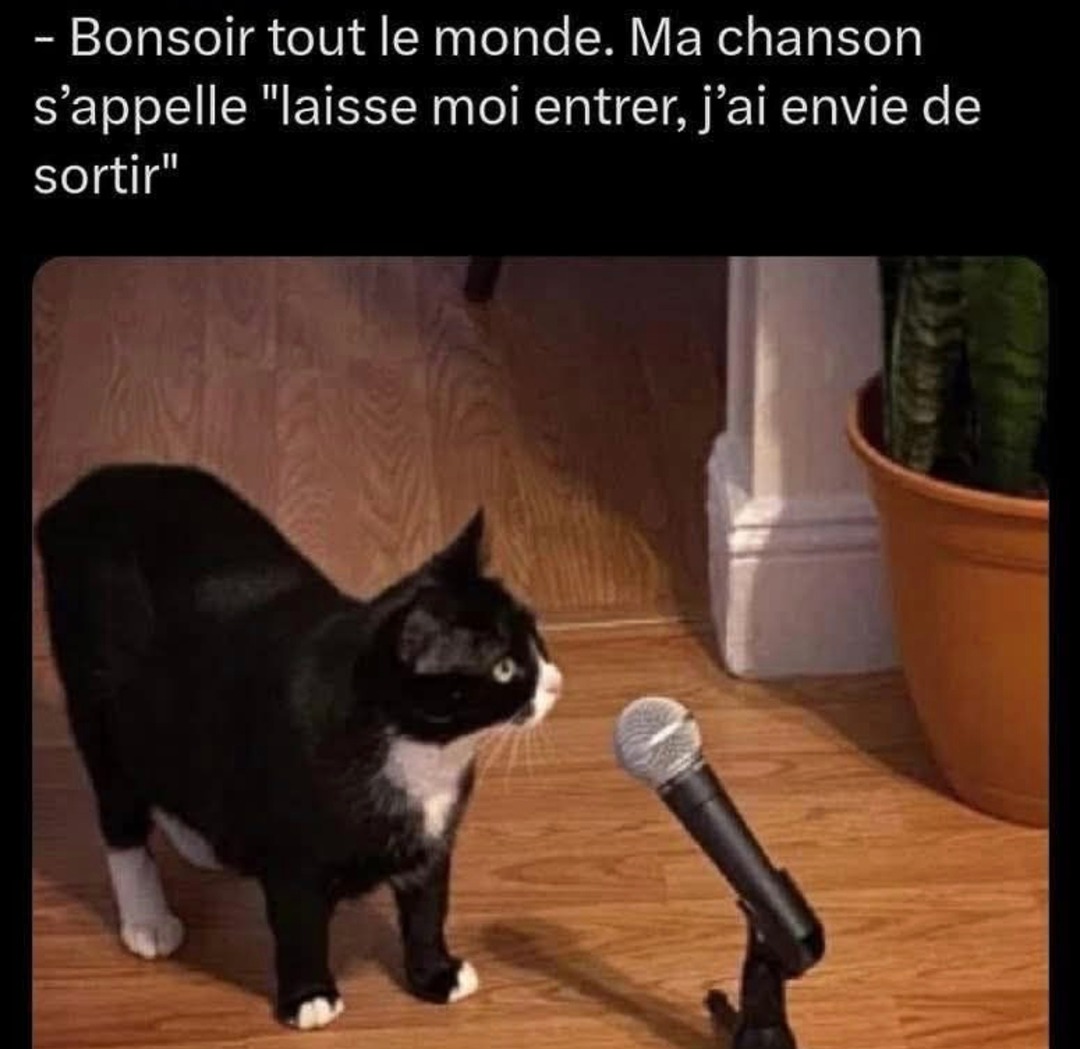 Laisse moi entrer j’ai juste envie de sortir - meme